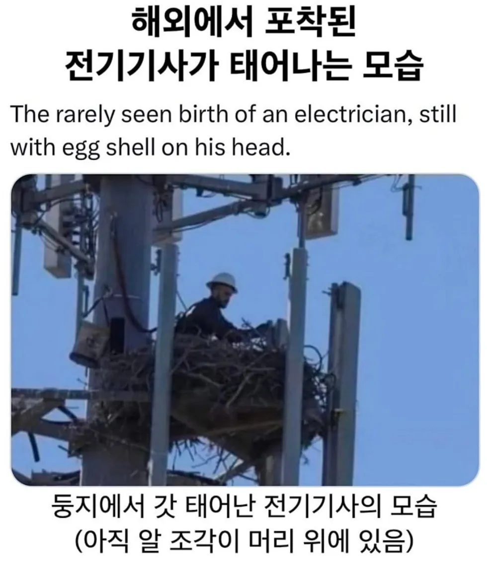 전기 기사가 탄생하는 순간을 해외에서 포착했습니다.
