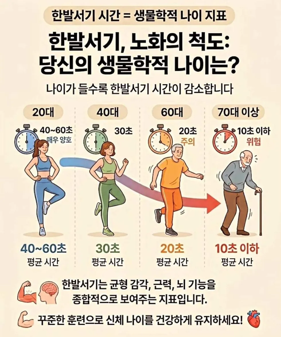 노화 척도: 한발 서기 능력