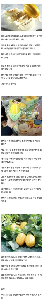 참외 수출 현황.jpg
