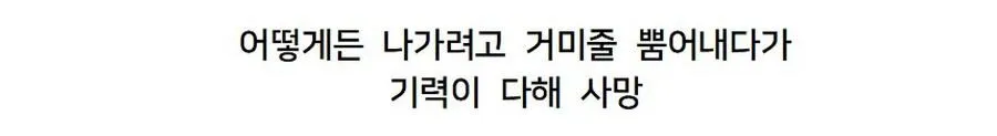 맥주잔에 갇힌 거미의 최후