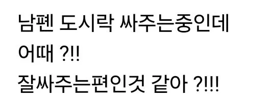 남편 도시락을 잘 싸주는 편인 것 같아?.jpg