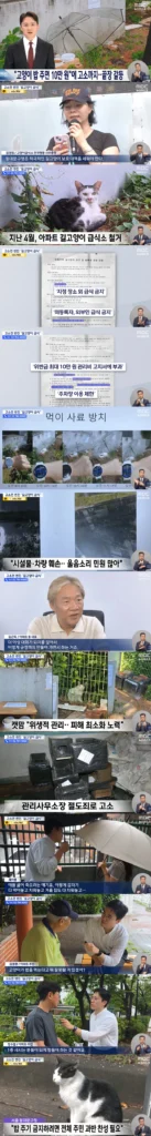 길고양이 밥 주면 10만원 벌금 및 고소까지