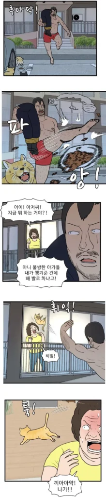 길고양이 밥 주면 10만원 벌금 및 고소까지