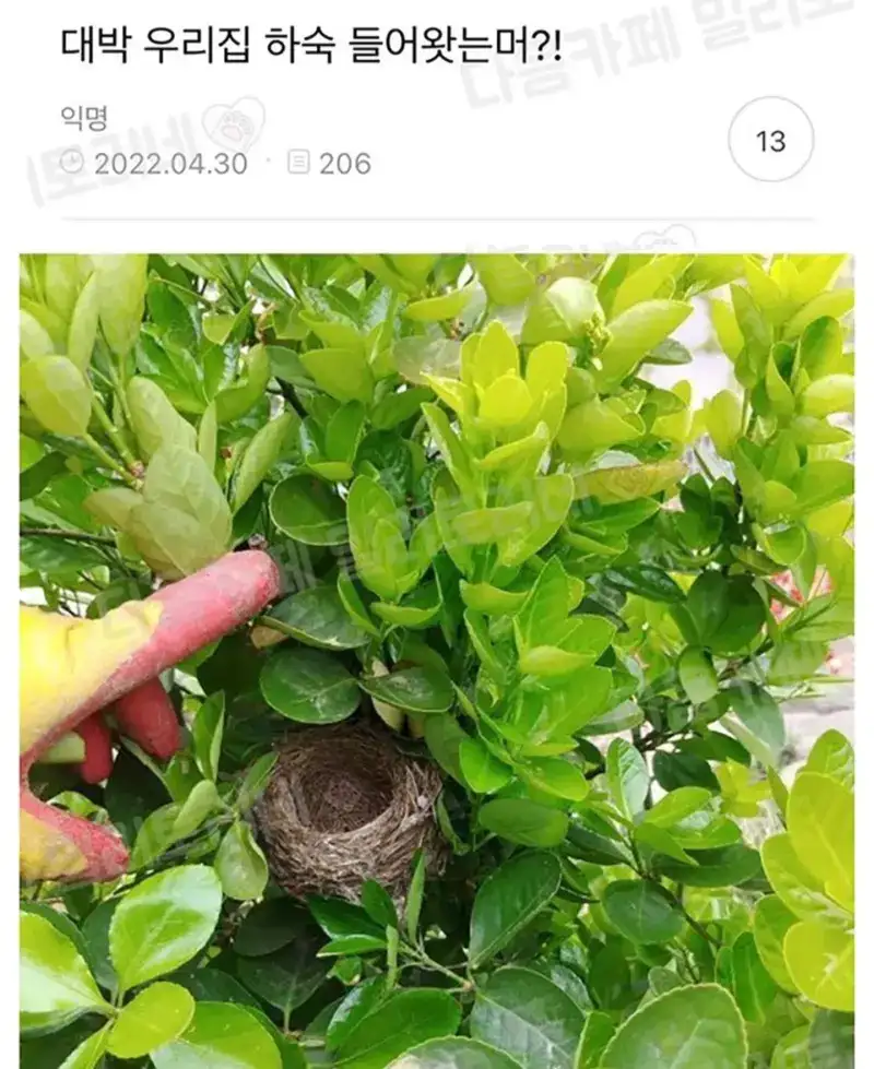 우리집 하숙생, 대박! 누가 들어왔나?