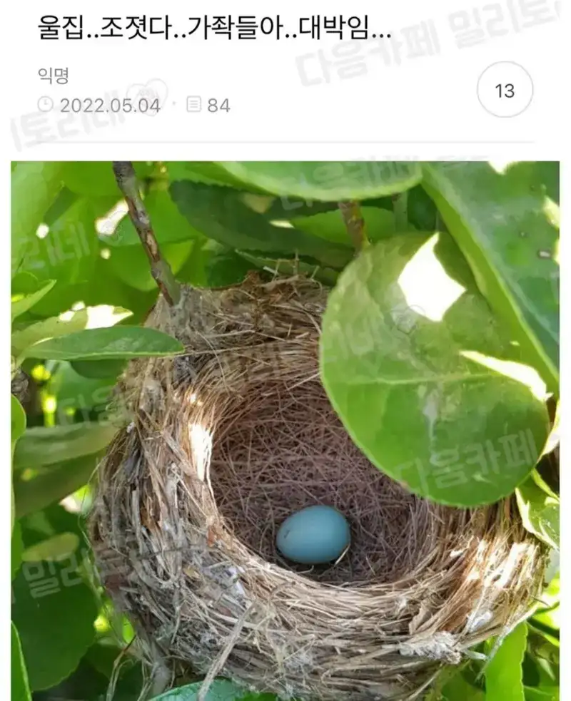 우리집 하숙생, 대박! 누가 들어왔나?