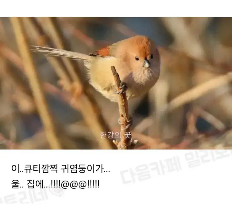 우리집 하숙생, 대박! 누가 들어왔나?