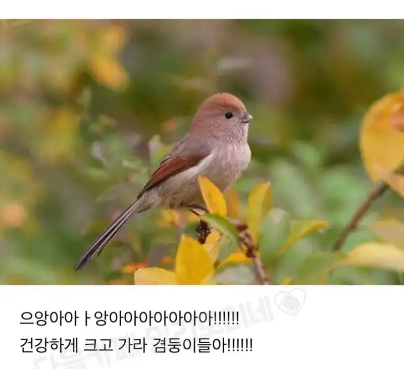 우리집 하숙생, 대박! 누가 들어왔나?