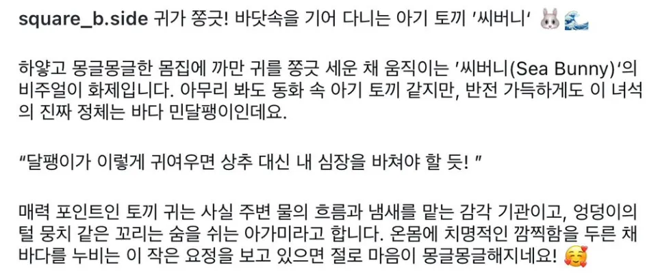 별주부에게 속았던 토끼의 최근 소식