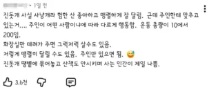 주인과 발맞춰 사는 강한 진돗개