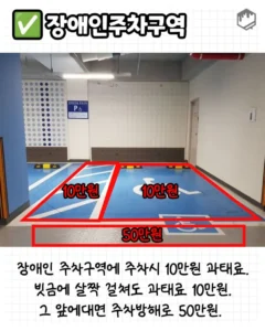 주차 금지 구역 완벽 정리