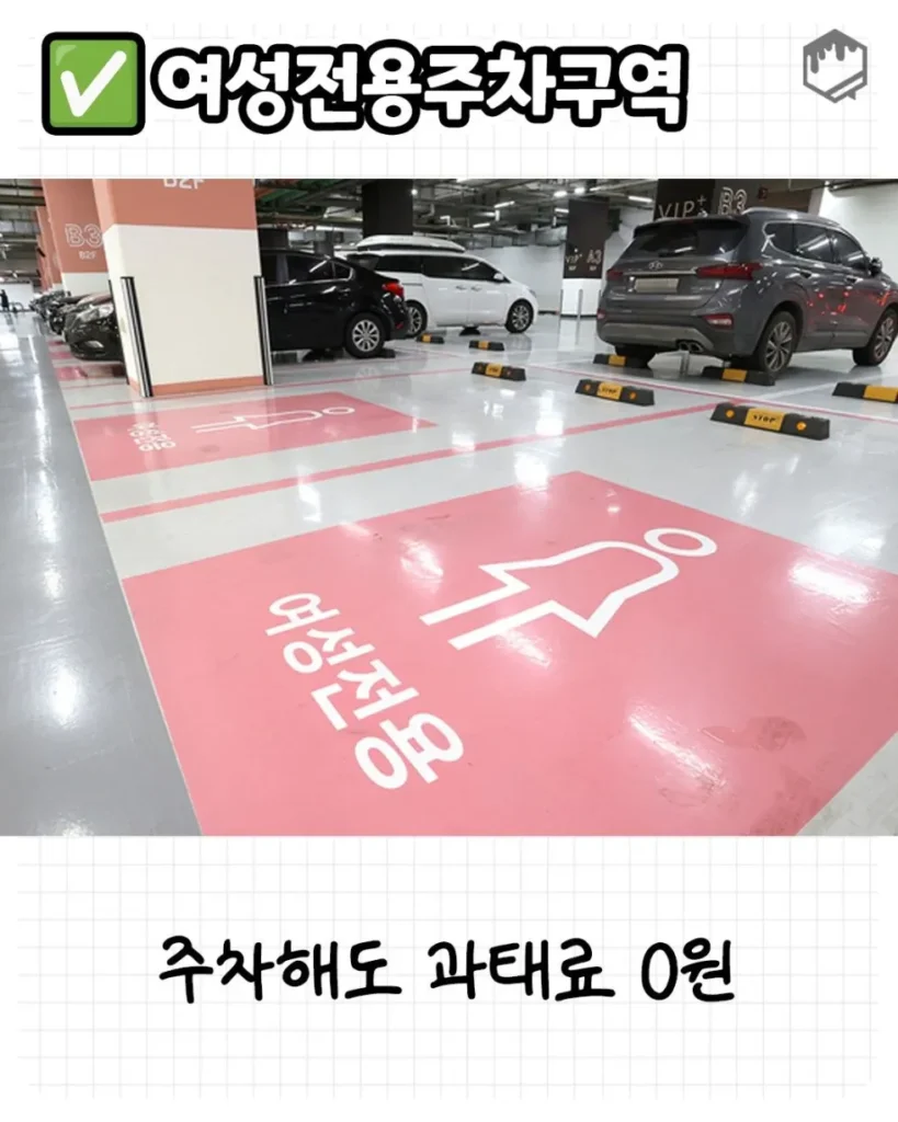 주차 금지 구역 완벽 정리