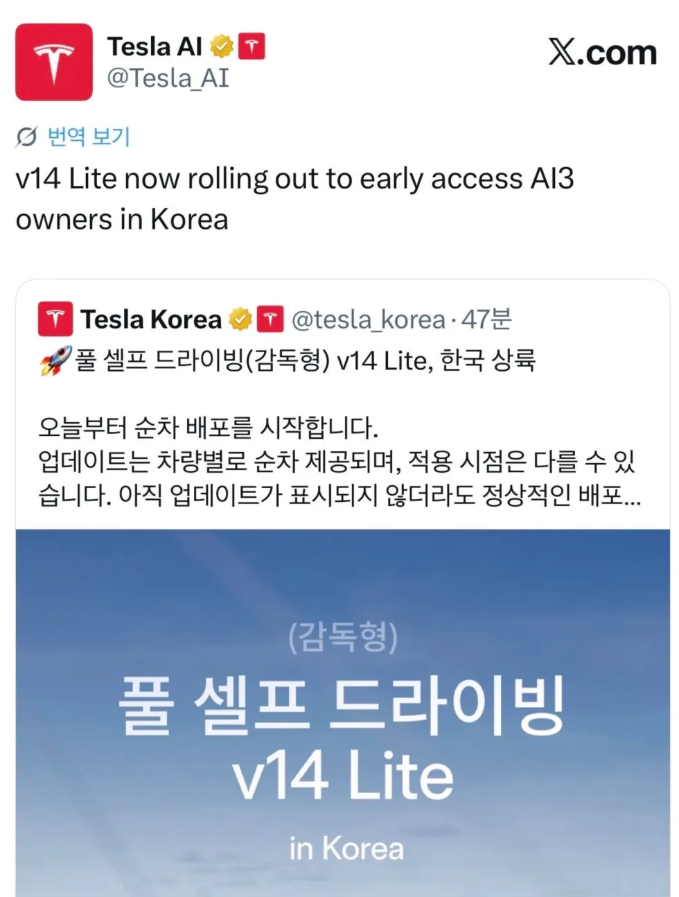 테슬라 FSD v14 lite 한국 출시 시작