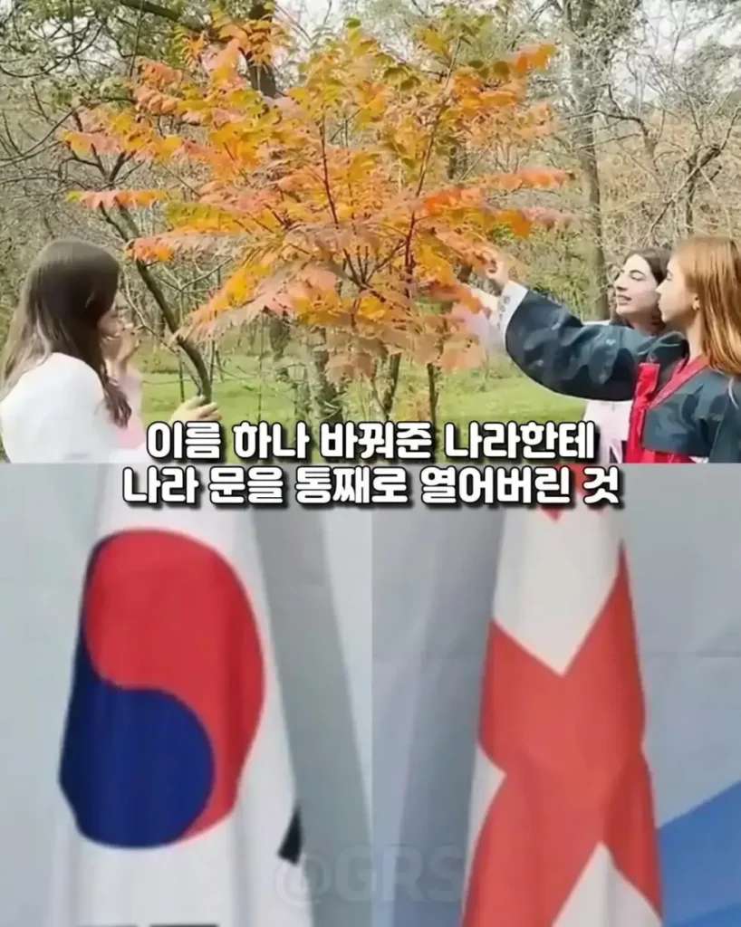 한국만이 들어준 전 세계의 무시한 부탁 결과