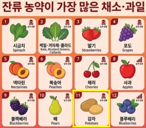 잔류 농약 검출 순위