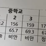 성장기 후반, 뜻밖의 행운을 얻다