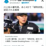 일본 심판, 배트 맞아 쓰러진 지 4일 후 뇌사 판정 예정
