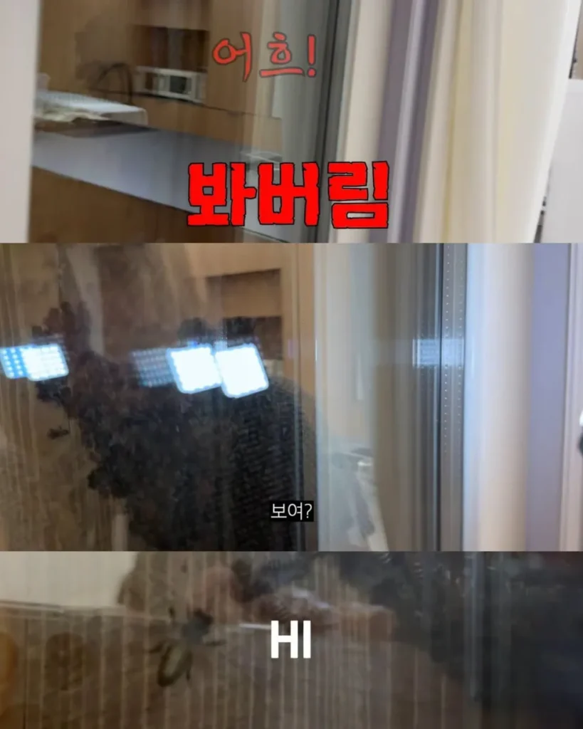 2주만에 제주도 집 갔다 119 부른 김숙.jpg