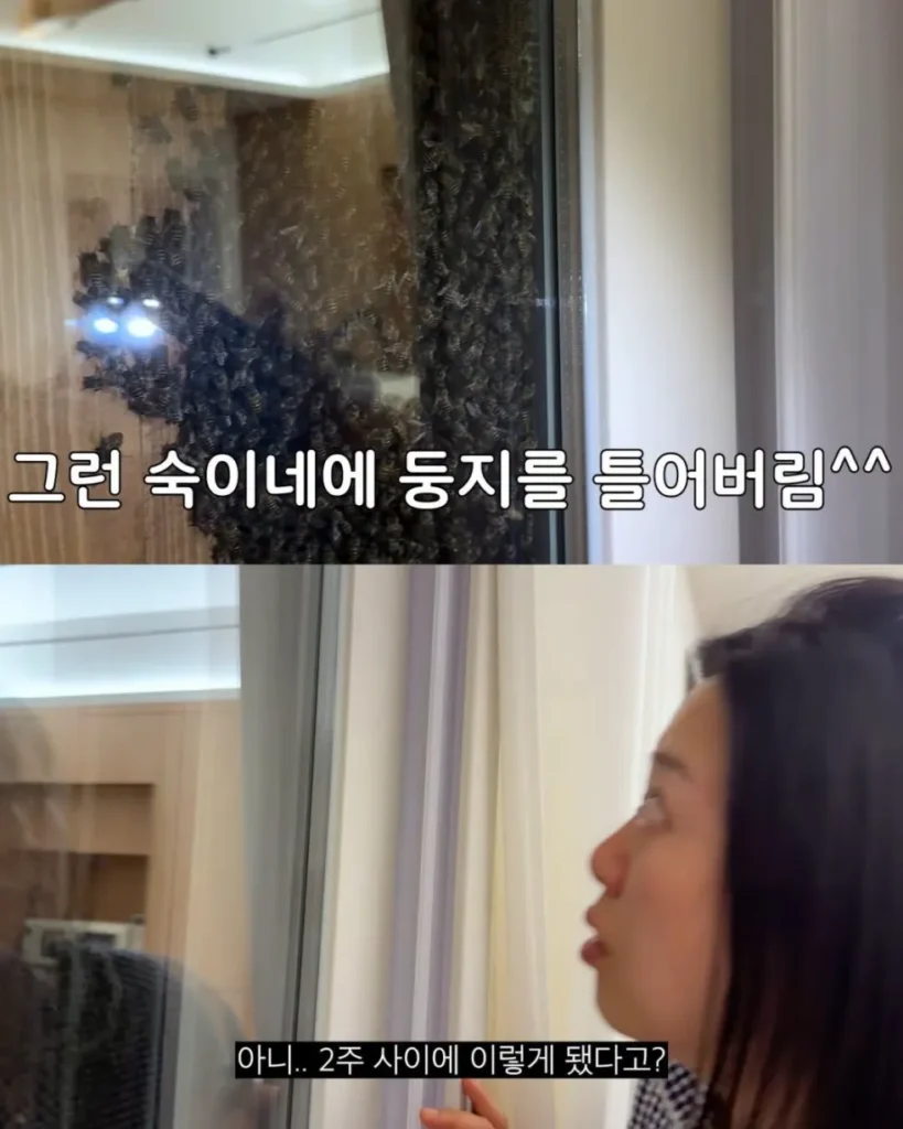 2주만에 제주도 집 갔다 119 부른 김숙.jpg