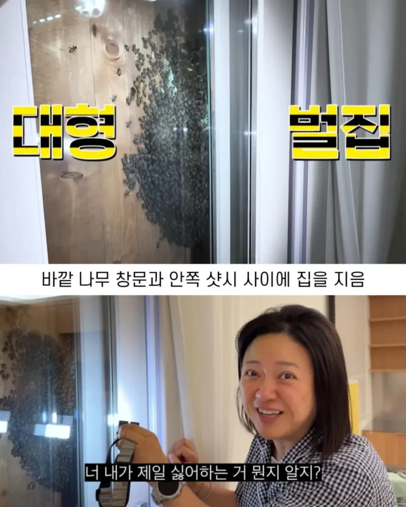 2주만에 제주도 집 갔다 119 부른 김숙.jpg