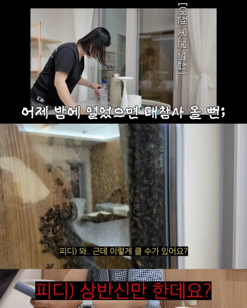 2주만에 제주도 집 갔다 119 부른 김숙.jpg