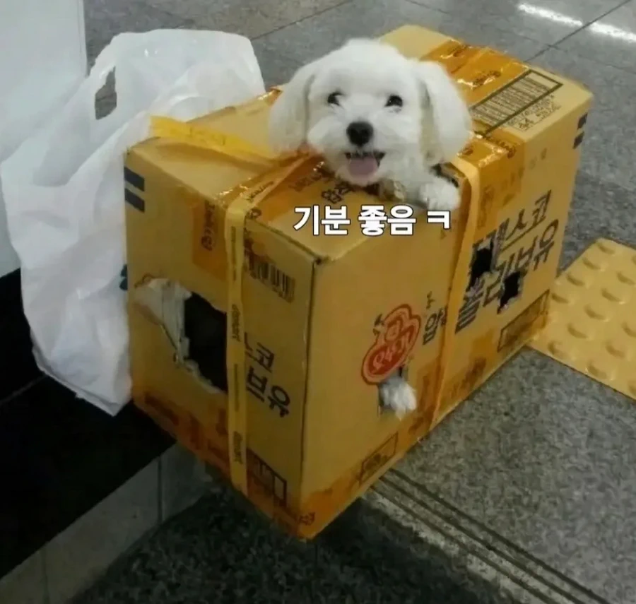 애견 가방 없이 지하철 강아지 탑승, 아무도 제지하지 않음.jpg
