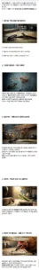 시골집에 바퀴벌레가 없는 의외의 이유(펌)