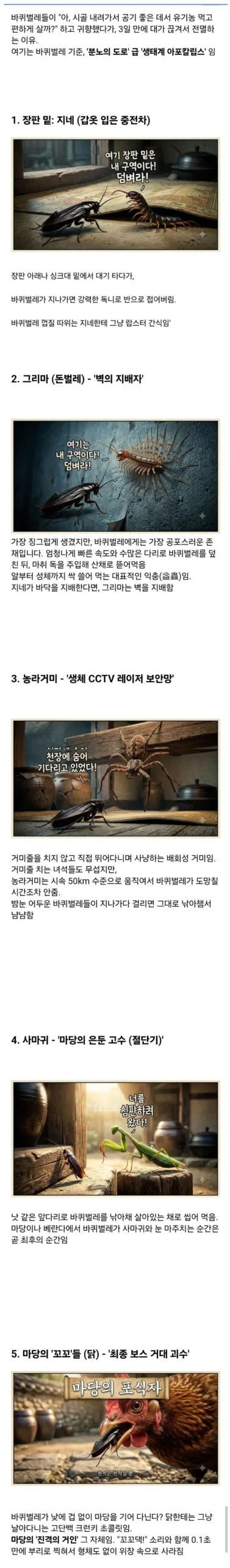 시골집에 바퀴벌레가 없는 의외의 이유(펌)