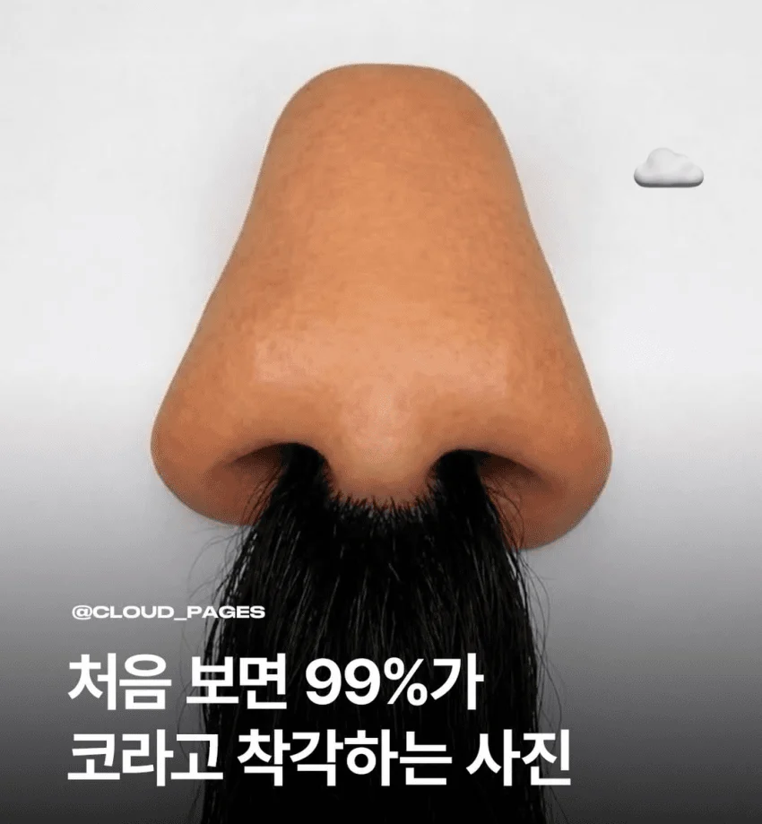 처음 보면 99%가 코라고 착각하기 쉬운 사진