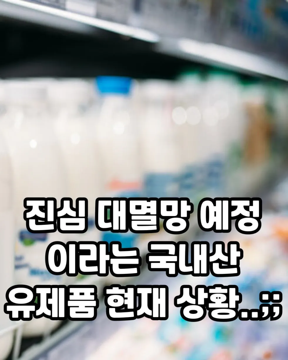 대멸망할지도 모른다는 국내산 유제품 현황
