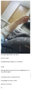 고환 적출 경험자
