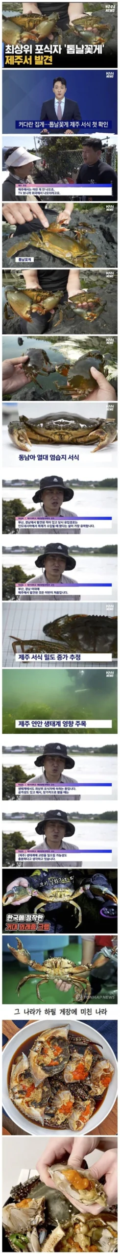 부산, 불법 유입 외래종으로 골머리 앓는 소식