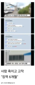 20대 청년 과로사, 회사 공장장 처벌 수위는