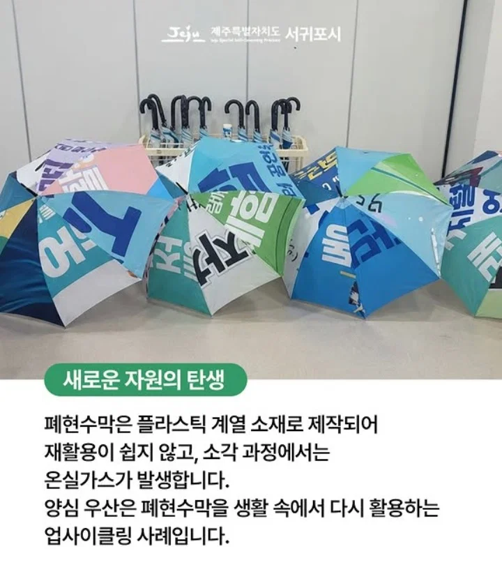 폐현수막으로 만든 양심우산, 서귀포시 이야기