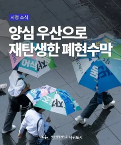 폐현수막으로 만든 양심우산, 서귀포시 이야기