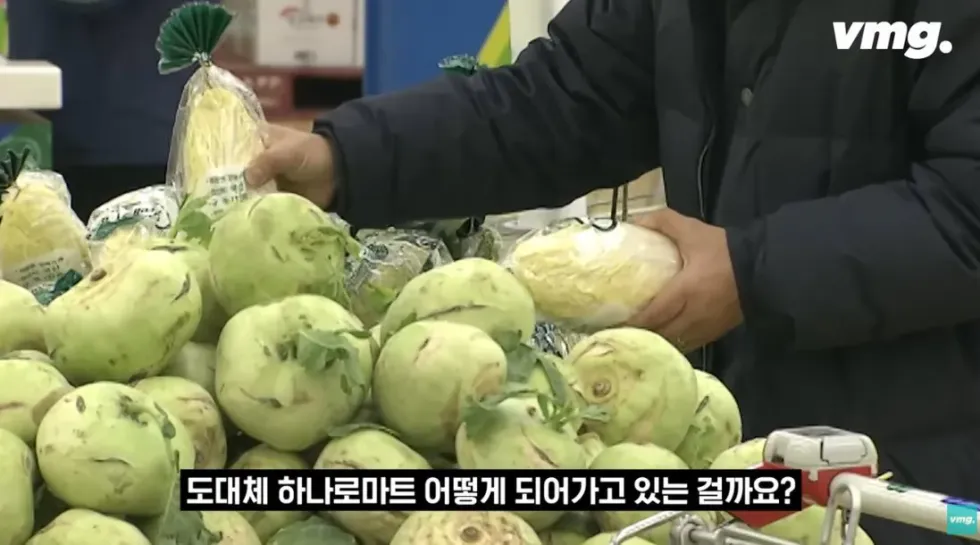 하나로마트, 적자 매장 비율 57% 심각한 수준