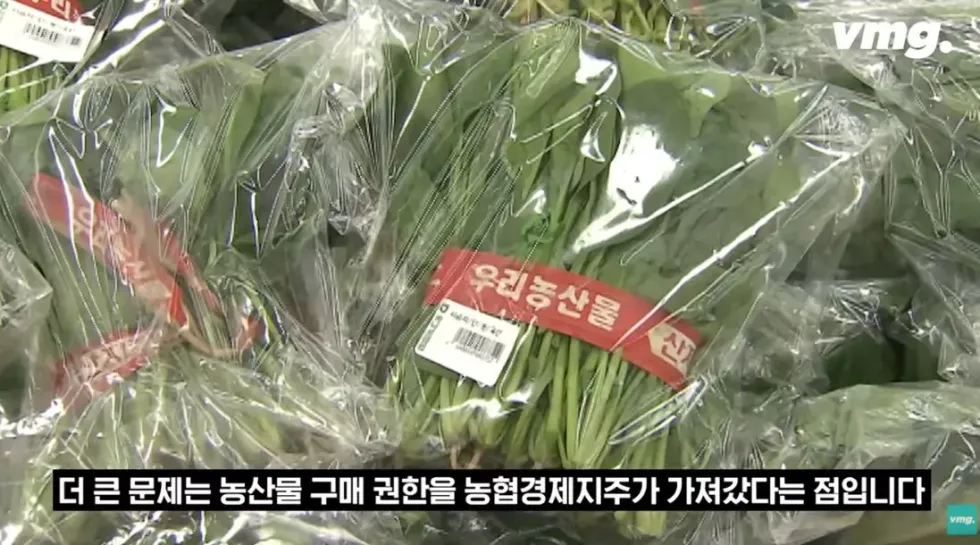 하나로마트, 적자 매장 비율 57% 심각한 수준