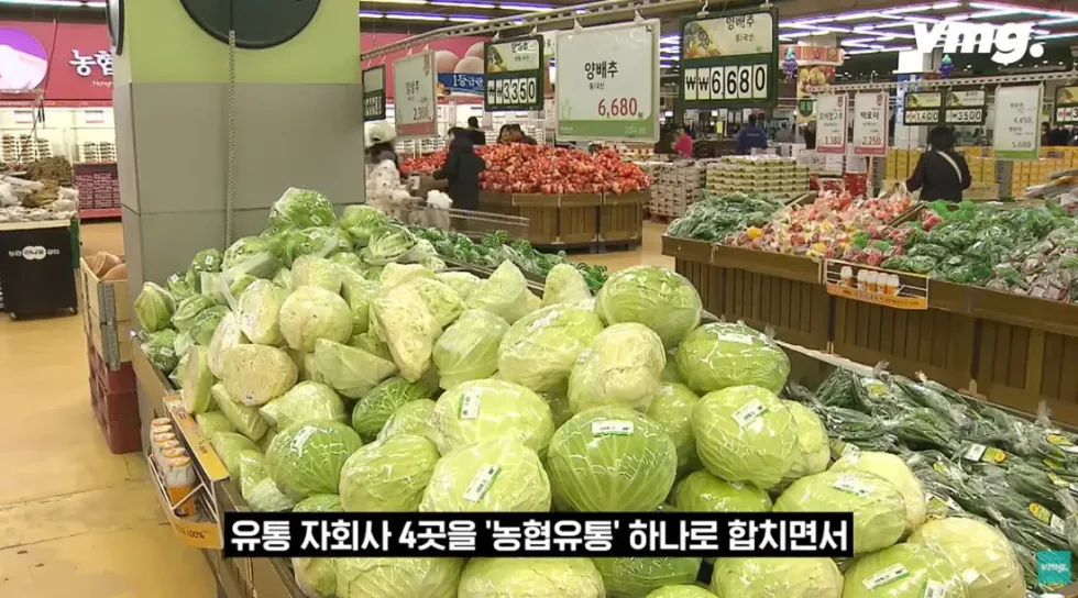 하나로마트, 적자 매장 비율 57% 심각한 수준