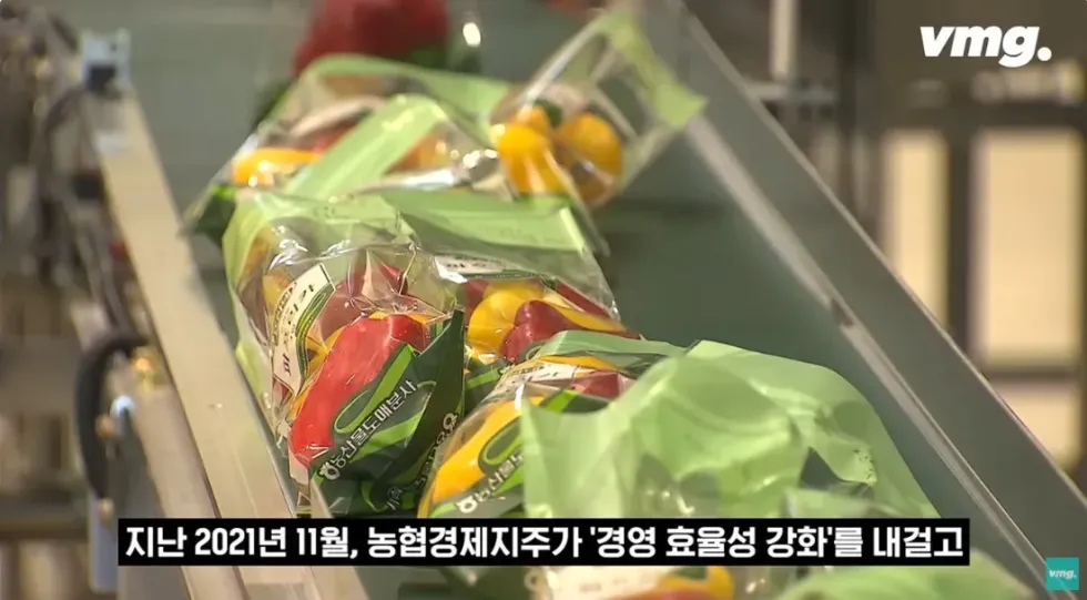 하나로마트, 적자 매장 비율 57% 심각한 수준
