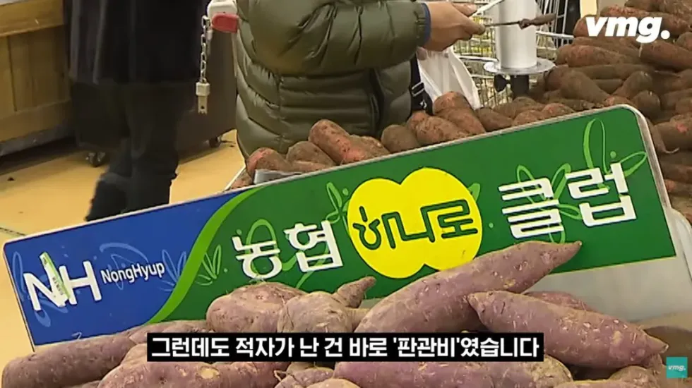 하나로마트, 적자 매장 비율 57% 심각한 수준