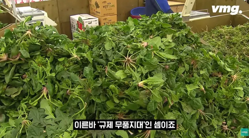 하나로마트, 적자 매장 비율 57% 심각한 수준