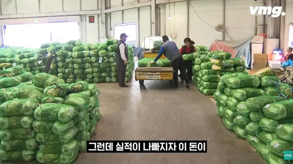 하나로마트, 적자 매장 비율 57% 심각한 수준
