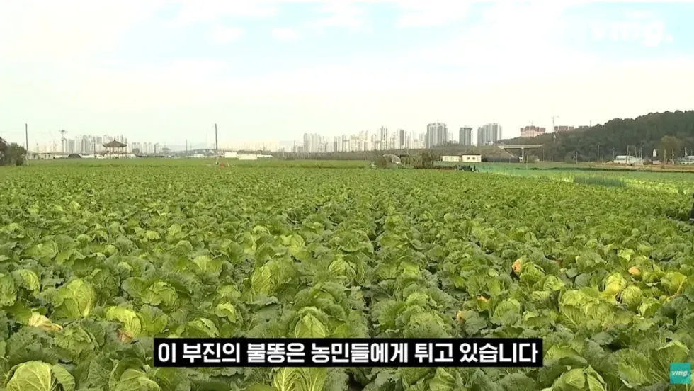 하나로마트, 적자 매장 비율 57% 심각한 수준