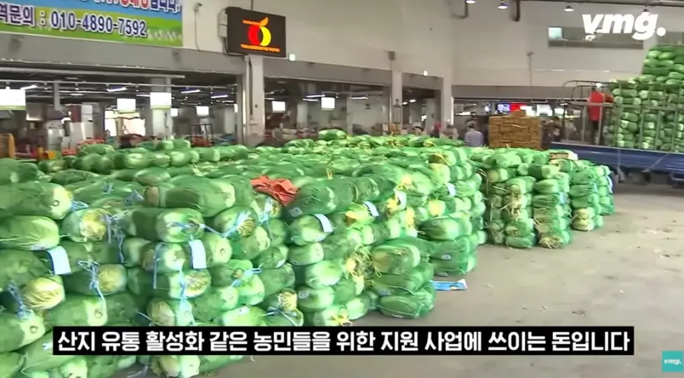 하나로마트, 적자 매장 비율 57% 심각한 수준