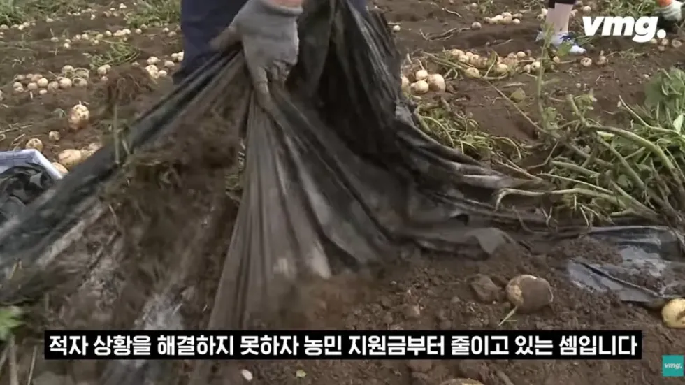 하나로마트, 적자 매장 비율 57% 심각한 수준
