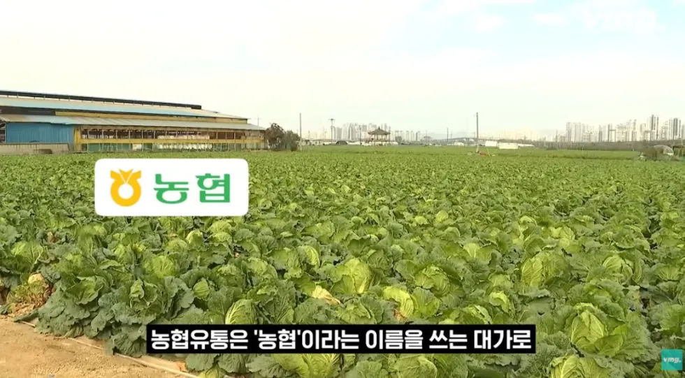 하나로마트, 적자 매장 비율 57% 심각한 수준