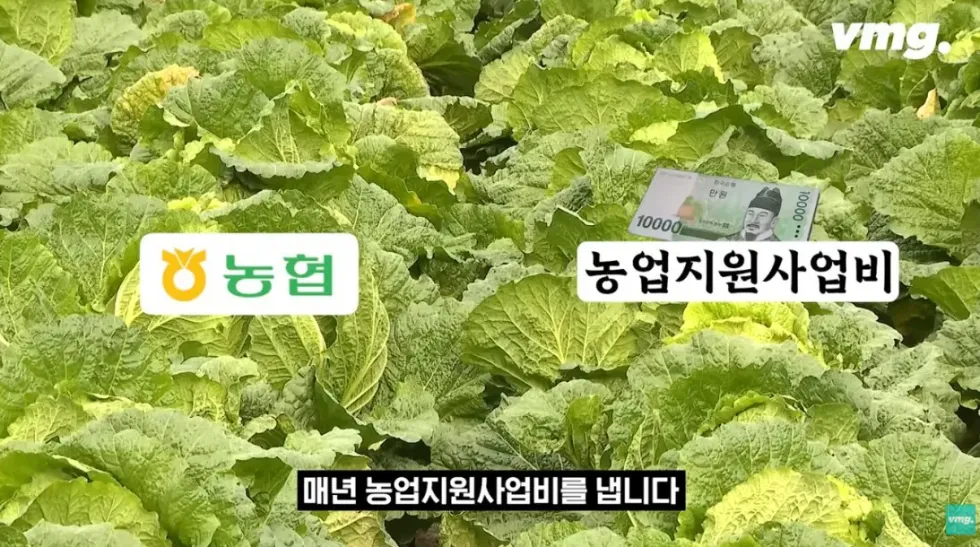 하나로마트, 적자 매장 비율 57% 심각한 수준