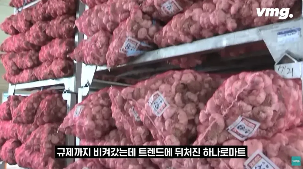 하나로마트, 적자 매장 비율 57% 심각한 수준
