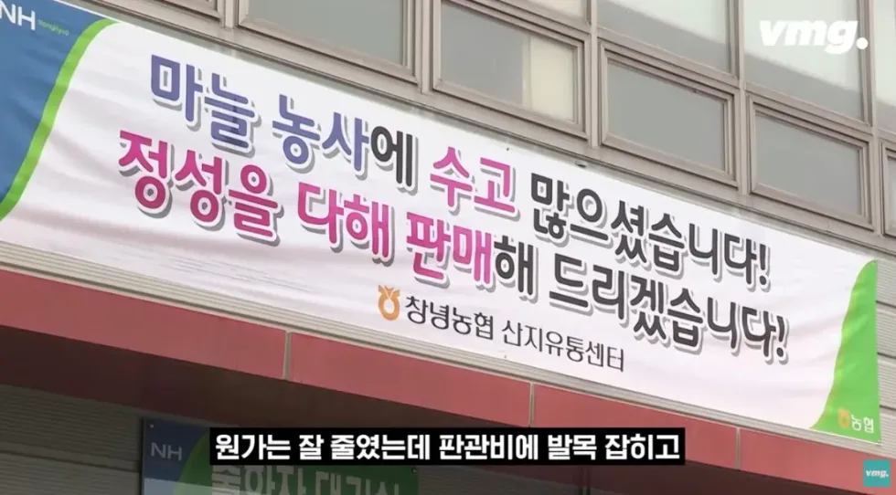 하나로마트, 적자 매장 비율 57% 심각한 수준