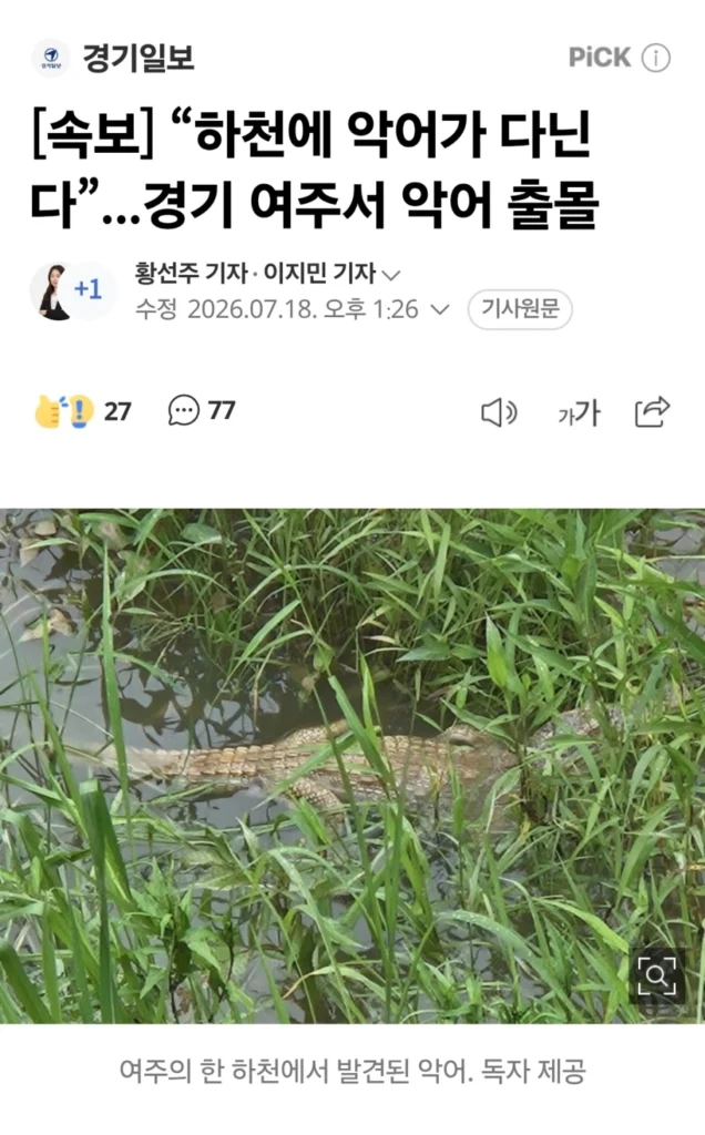 외래종 대처 방안