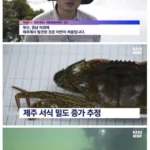 외래종 대처 방안
